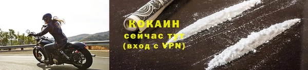 стаф Богородицк