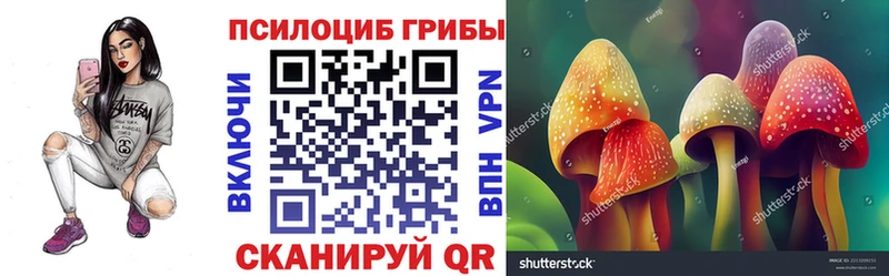 Галлюциногенные грибы GOLDEN TEACHER  магазин  наркотиков  Меленки 